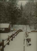 snow.jpg (72494 bytes)