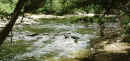 stream.jpg (46635 bytes)